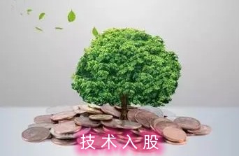股權(quán)知識資料下載
